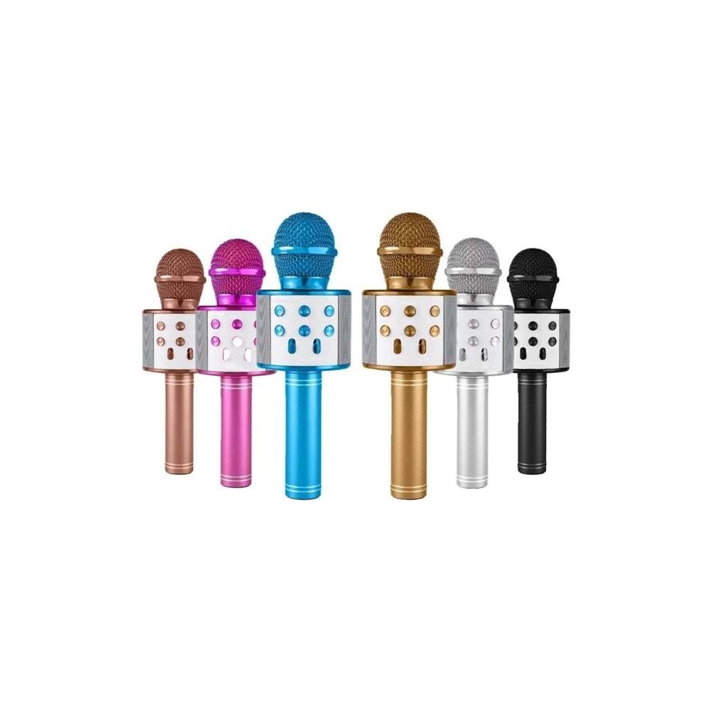 Carboon WS-858 Karaoke Mikrofon