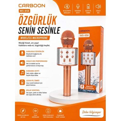 Carboon WS-858 Karaoke Mikrofon