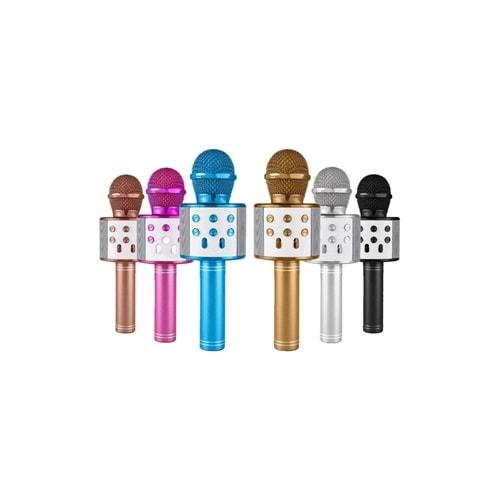 Carboon WS-858 Karaoke Mikrofon